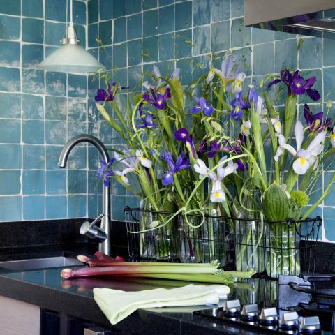 Hot or Cold Water for Your Cut Flowers?