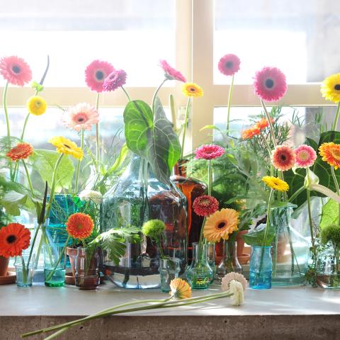 How to Choose the Right Vase for Flowers