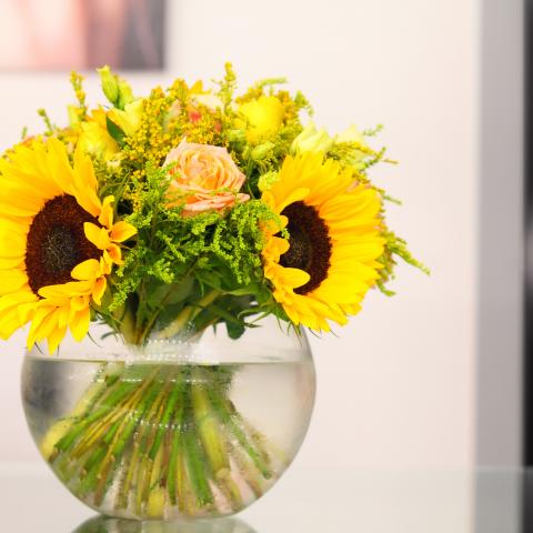 Tournesol, la fleur du soleil par fleuristes-et-fleurs